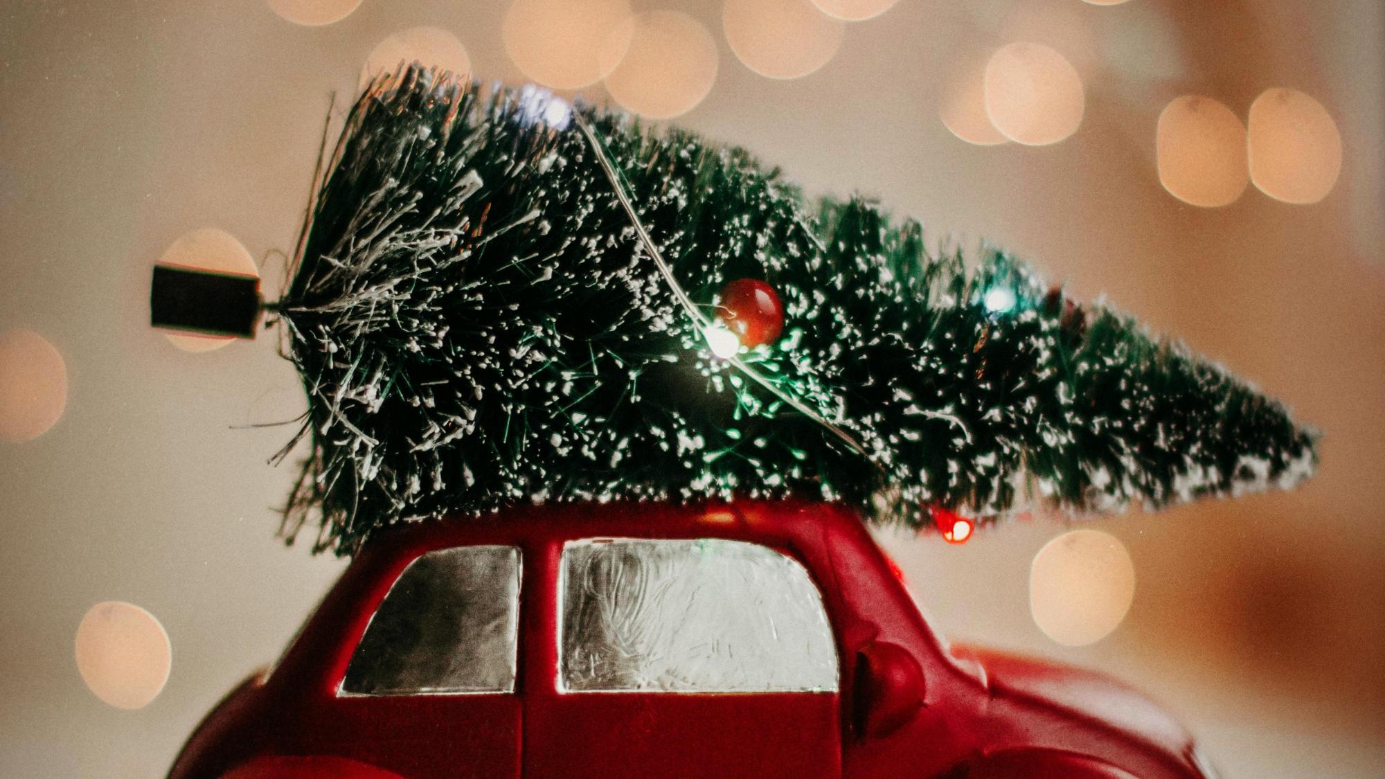 pexels-kpaukshtite-3444345